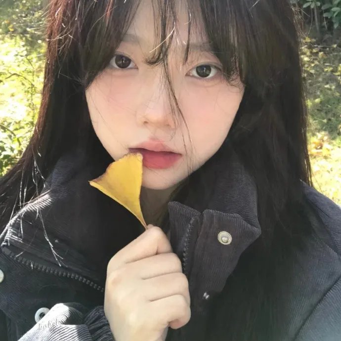伊拉克碎片